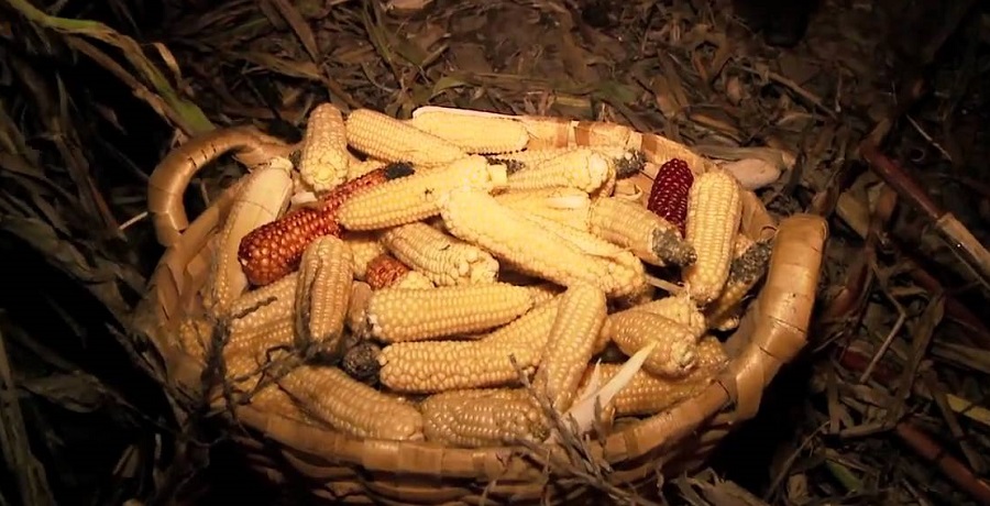 Desfolhada no Diana-Bar