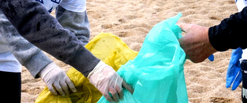 Póvoa: Praias limpas por dezenas de voluntários