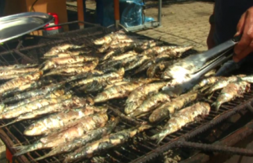 Sardinhada de S. Pedro no Mercado