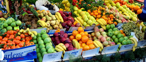 Transporte gratuito para Feira de Vila do Conde