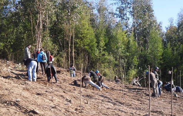 Alergias aumentam a nível mundial devido a ação humana Alergias aumentam a nível mundial devido a ação humana
