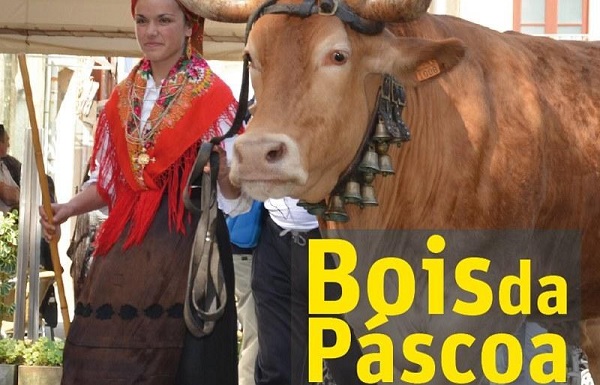 “Bois da Páscoa”: tradição vai ser revivida na Póvoa de Varzim “Bois da Páscoa”: tradição vai ser revivida na Póvoa de Varzim