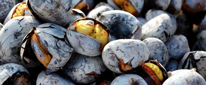 Está a chegar o São Martinho