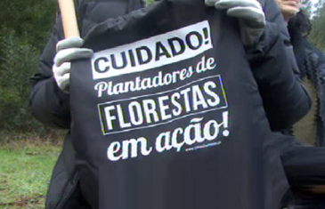 Reportagem: Plantação Árvores em laúndos