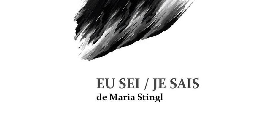 Maria Stingl lança livro Maria Stingl lança livro