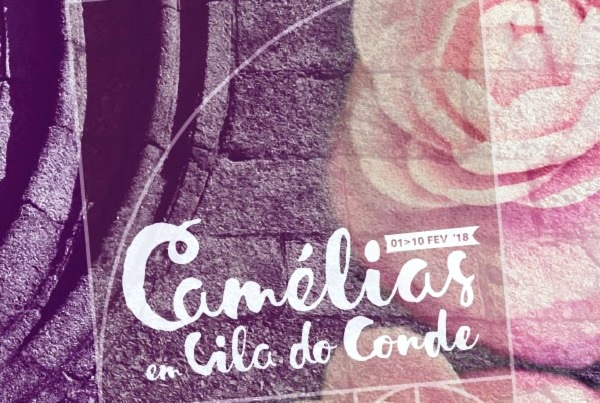 Vila do Conde: A Festa das Camélias
