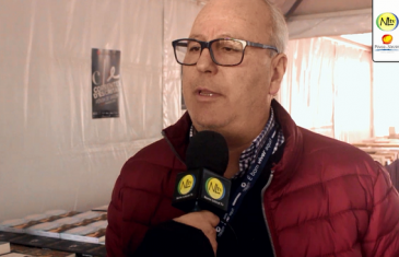 Correntes: Alfredo Costa “Papelaria Locus”