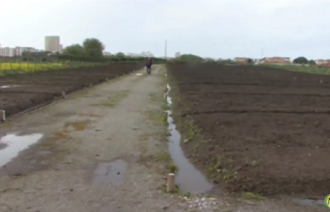 Póvoa: Hortas Biológicas