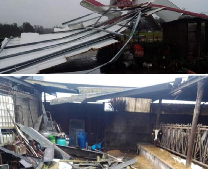 “Elsa” faz estragos