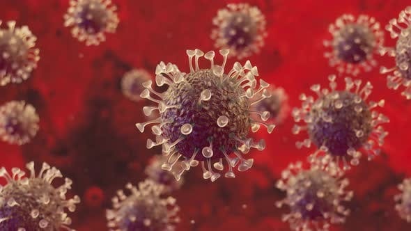 Póvoa de Varzim soma mais 7 doentes (87) Póvoa de Varzim soma mais 7 doentes (87)