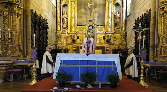 Domingo de Ramos na NLtv Domingo de Ramos na NLtv