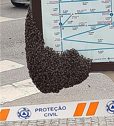 E a Rainha veio à cidade…