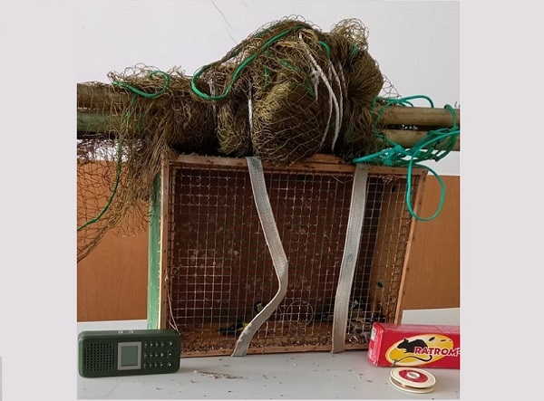Homem foi preso em flagrante em Vila do Conde na captura ilegal de aves Homem foi preso em flagrante em Vila do Conde na captura ilegal de aves