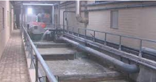 Empresa de aquacultura quer reforçar investimento na Póvoa de Varzim (Estela)