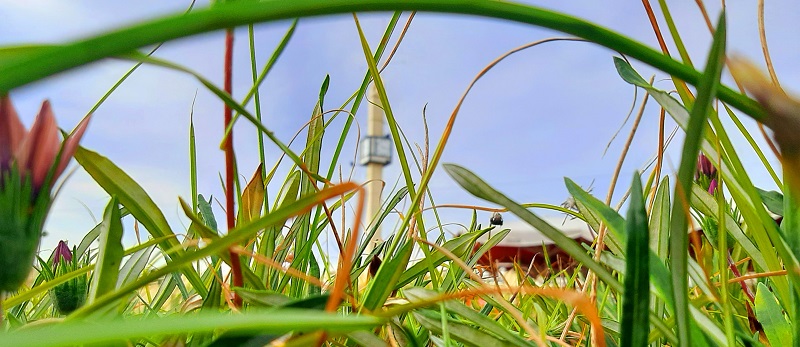 Praia da Póvoa já tem Música