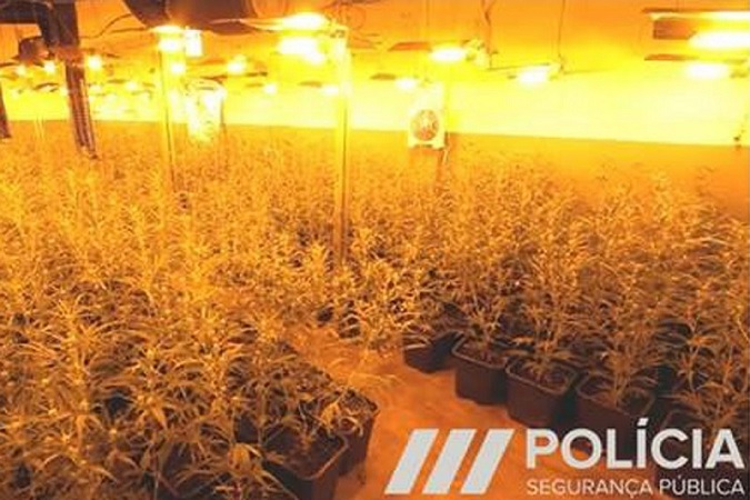 Grupo de chineses que traficava droga condenado ontem em Matosinhos