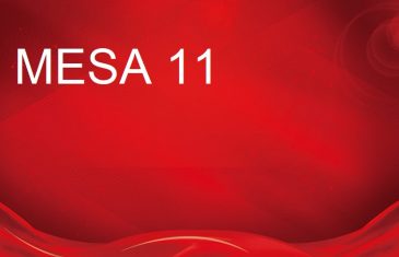 Mesa 11